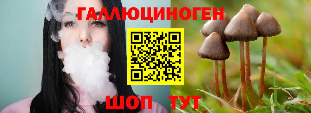 Псилоцибиновые грибы прущие грибы  Галлюциногенные грибы прущие грибы  Кандалакша  Вход с VPN 